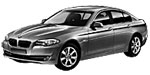 BMW F10 P0565 Fault Code